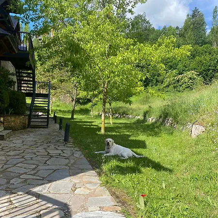 Pirenaica - Conoce El Valle De Tena - El Corazon Del Pirineo *